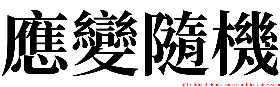 應變隨機 serif font