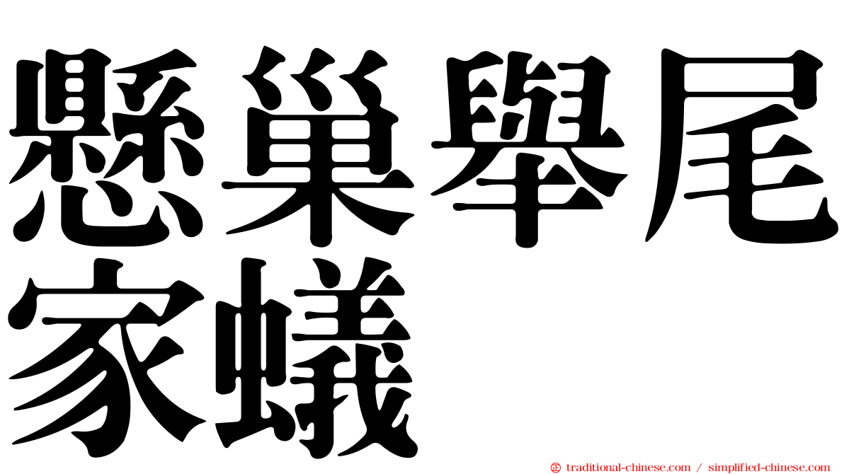 懸巢舉尾家蟻
