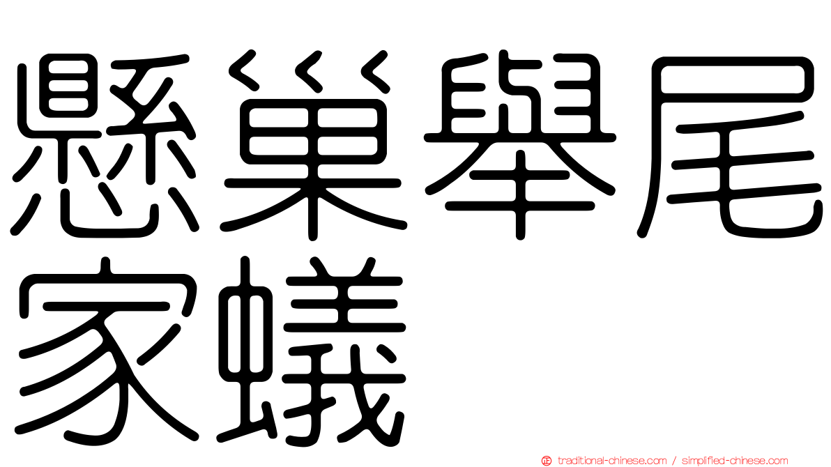 懸巢舉尾家蟻
