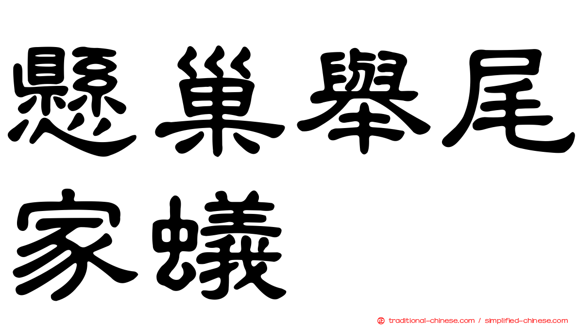 懸巢舉尾家蟻
