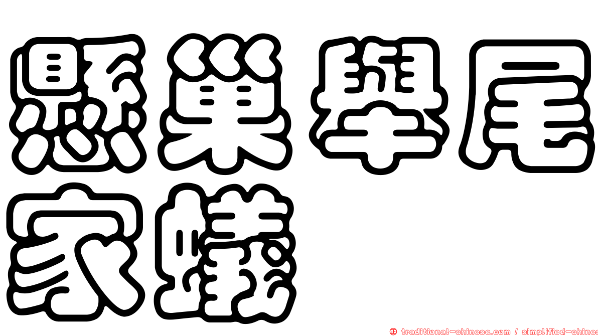 懸巢舉尾家蟻