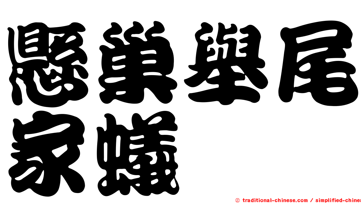懸巢舉尾家蟻