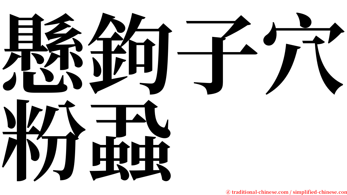 懸鉤子穴粉蝨 serif font