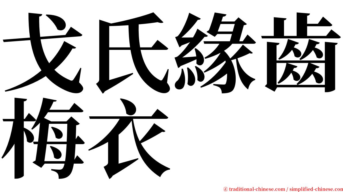 戈氏緣齒梅衣 serif font