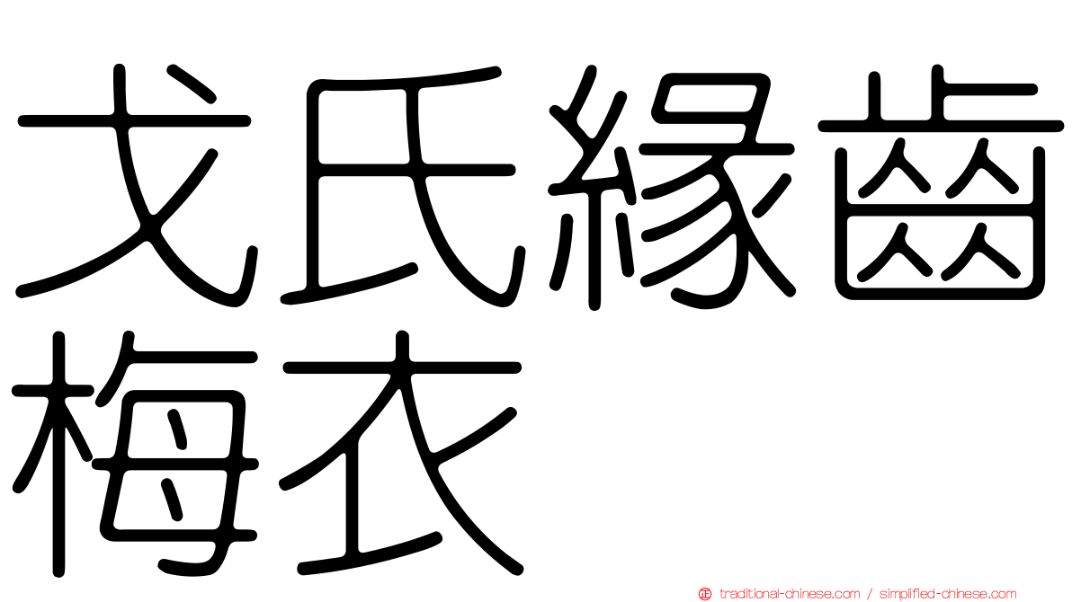 戈氏緣齒梅衣