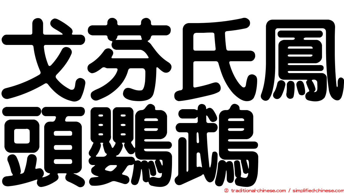 戈芬氏鳳頭鸚鵡