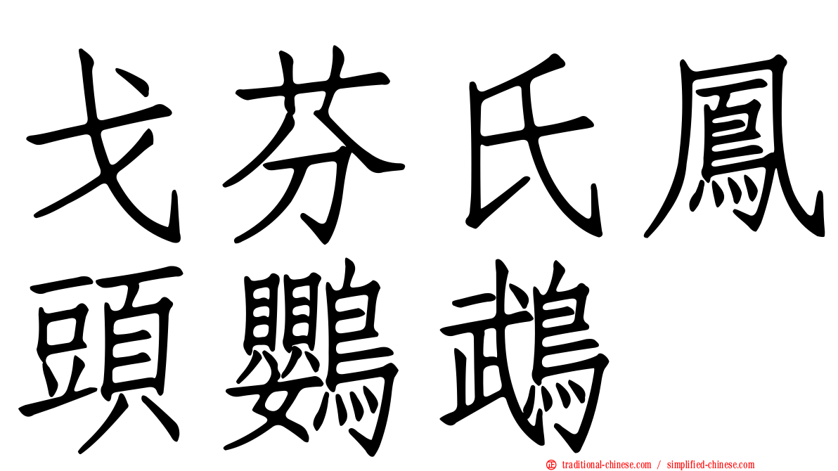 戈芬氏鳳頭鸚鵡