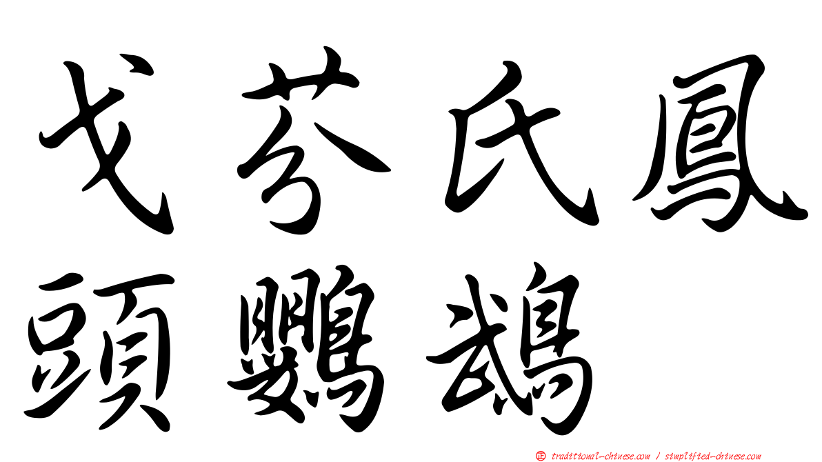 戈芬氏鳳頭鸚鵡