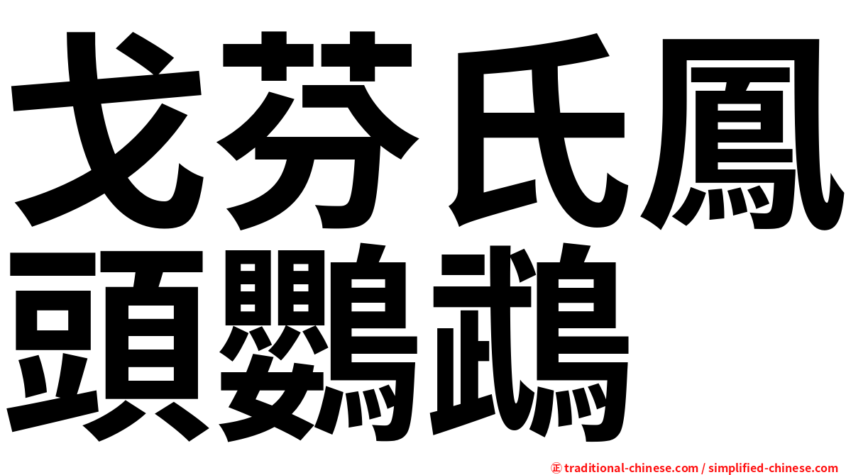 戈芬氏鳳頭鸚鵡