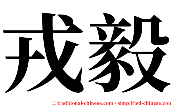 戎毅 serif font