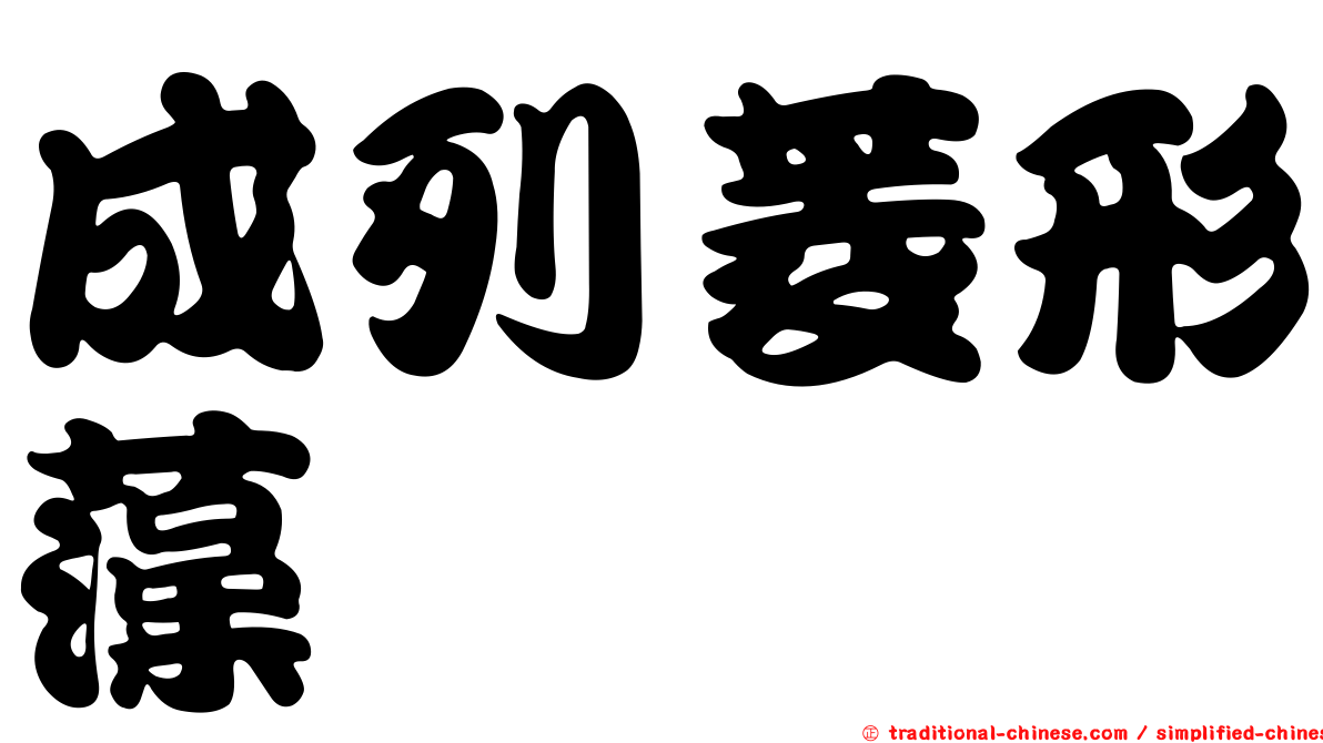 成列菱形藻