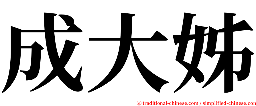 成大姊 serif font