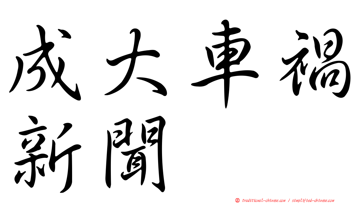 成大車禍新聞