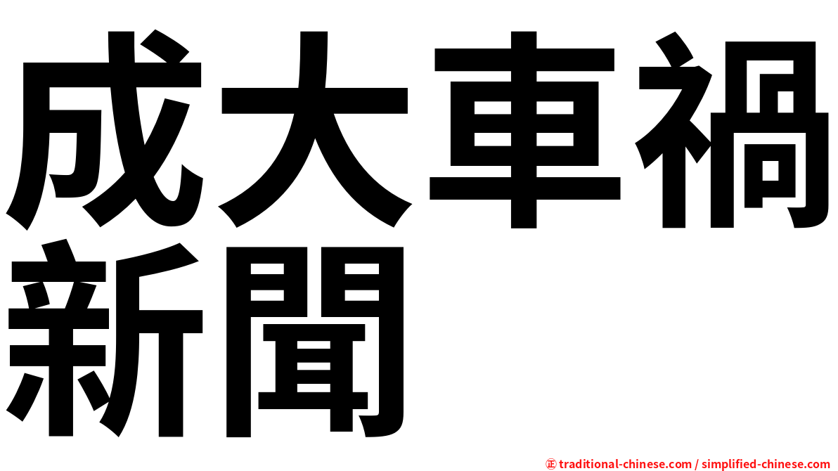 成大車禍新聞