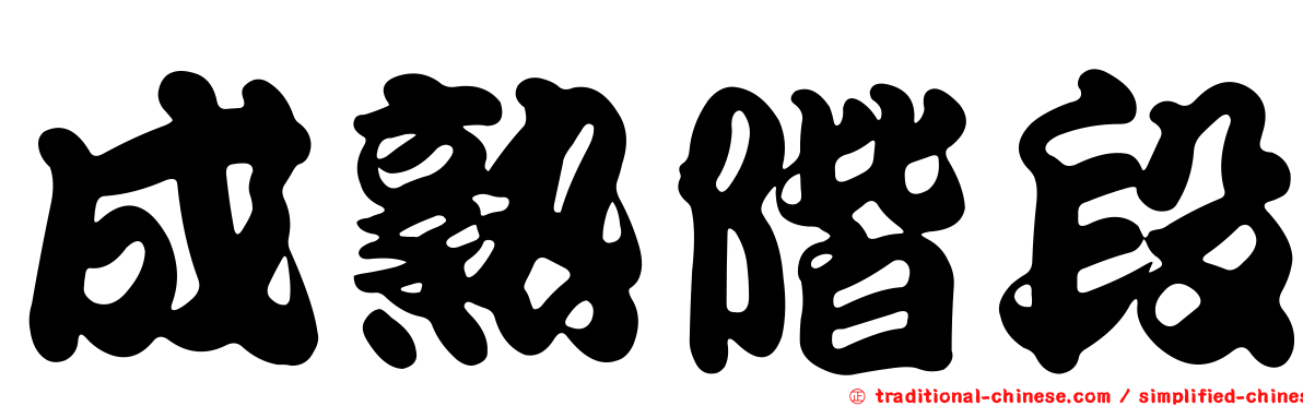 成熟階段