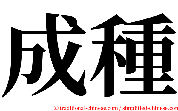 成種 serif font