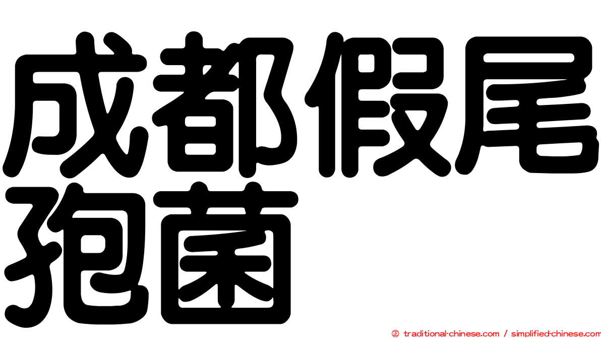 成都假尾孢菌