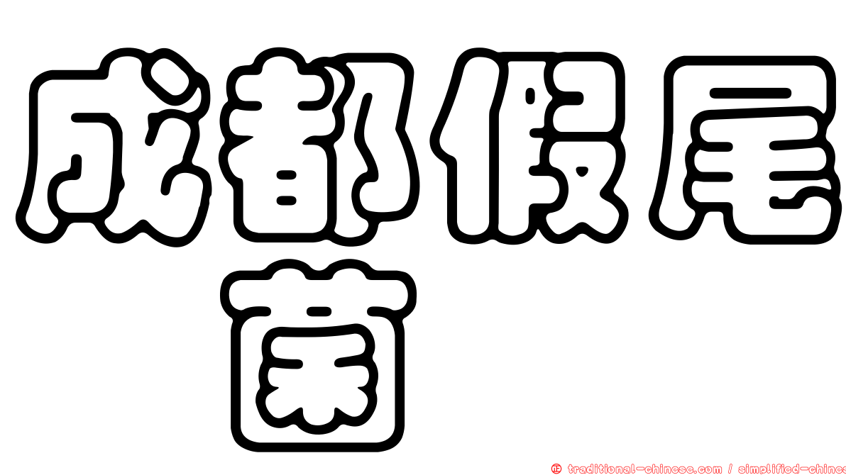 成都假尾孢菌