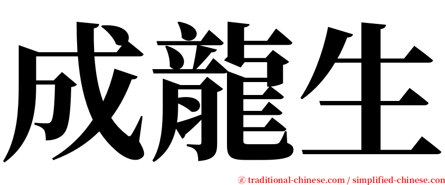 成龍生 serif font