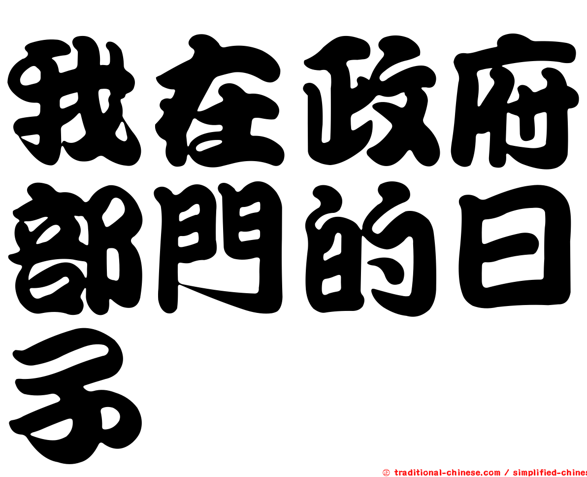 我在政府部門的日子
