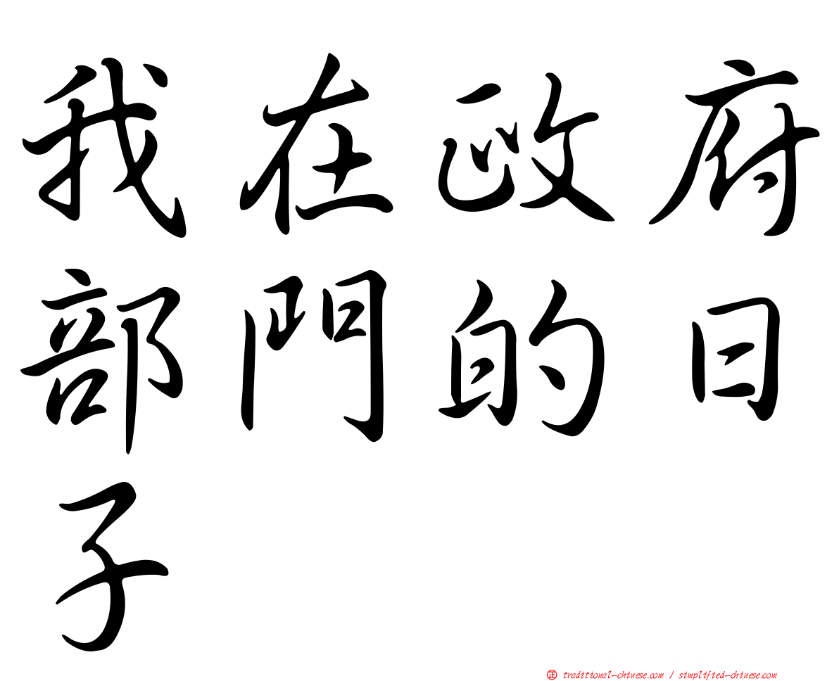 我在政府部門的日子