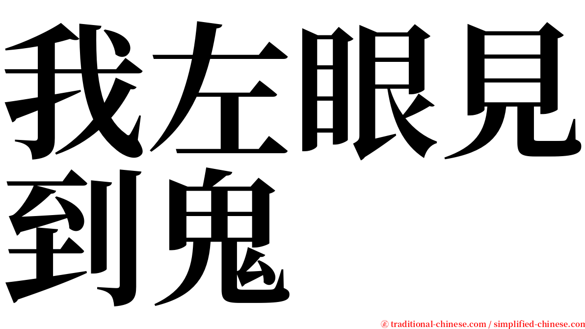 我左眼見到鬼 serif font