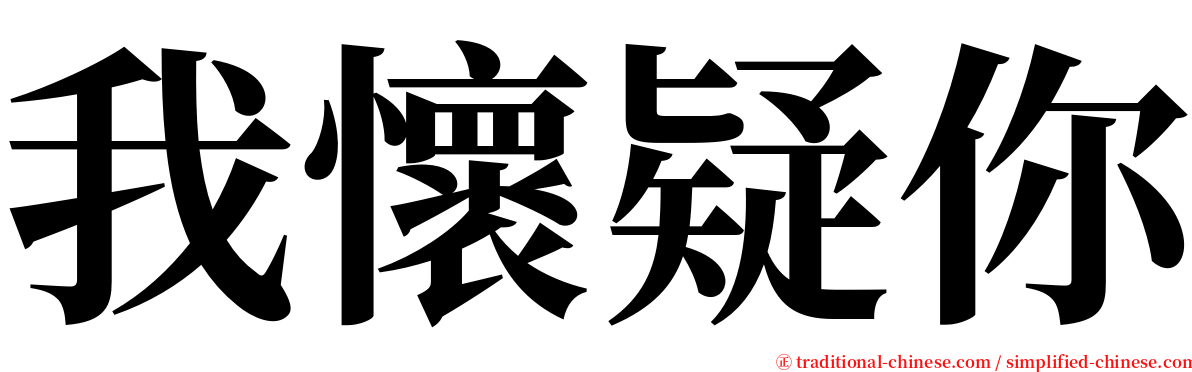 我懷疑你 serif font
