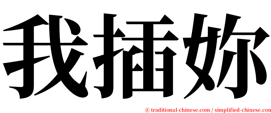 我插妳 serif font