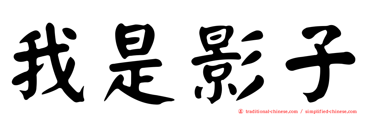 我是影子