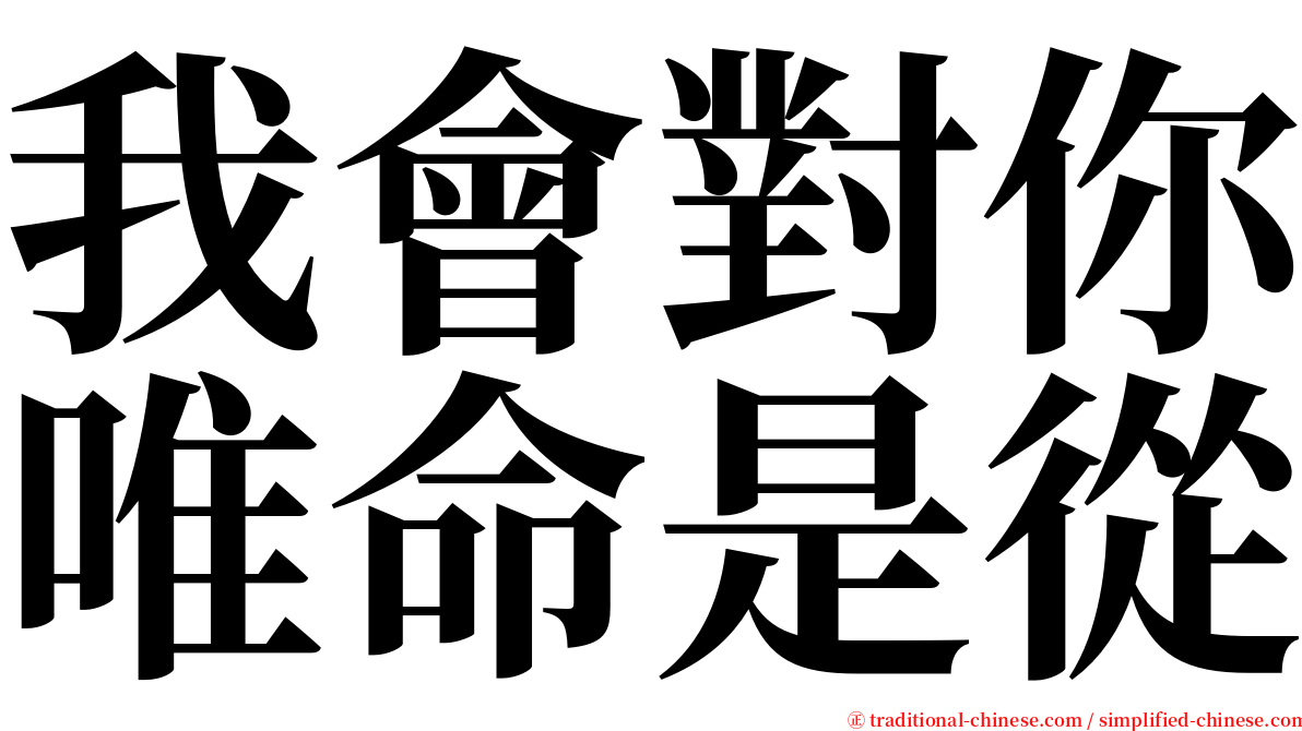 我會對你唯命是從 serif font