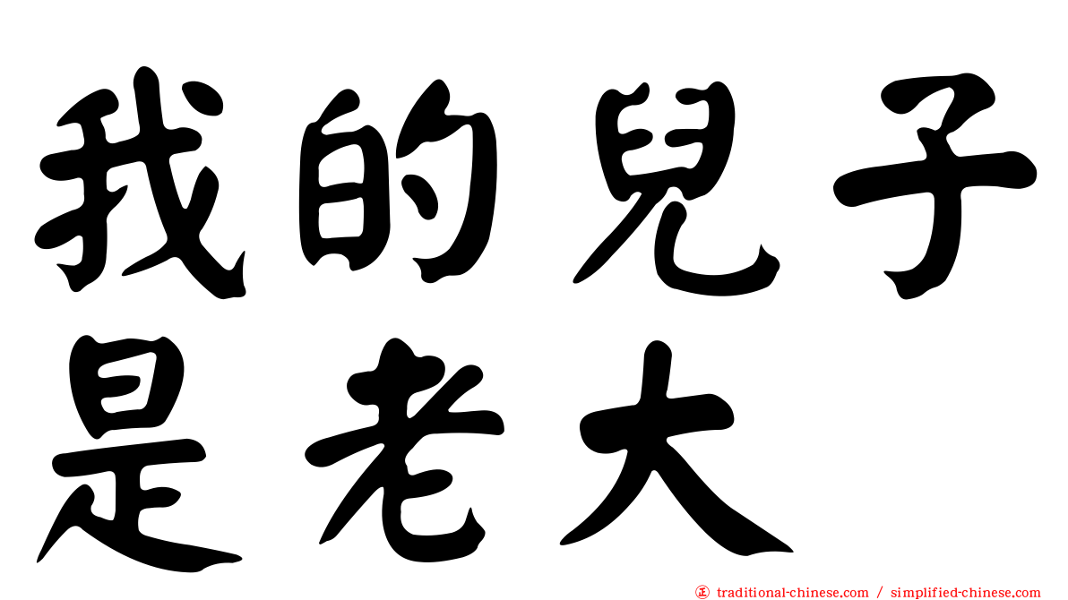 我的兒子是老大