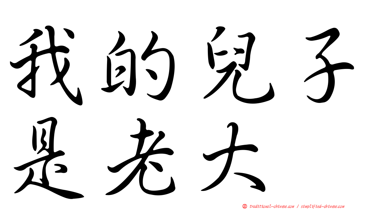 我的兒子是老大