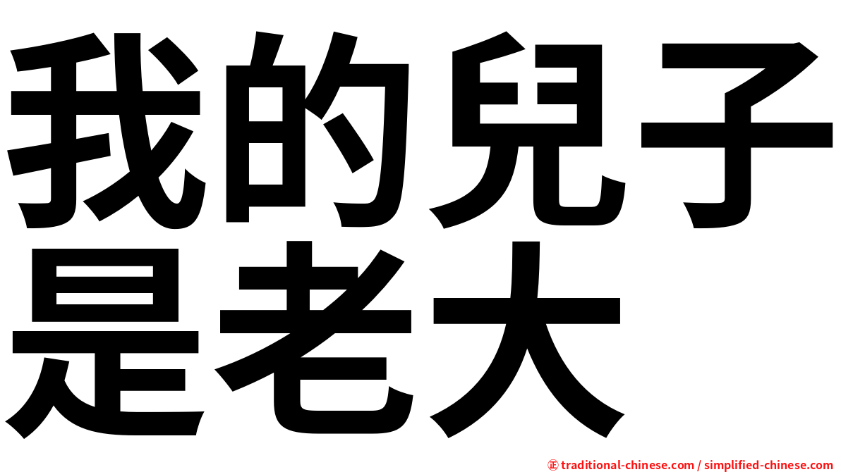 我的兒子是老大