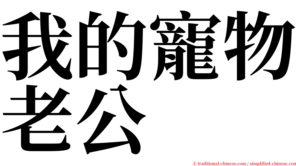 我的寵物老公 serif font