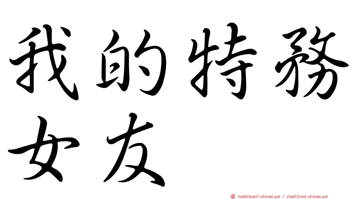 我的特務女友