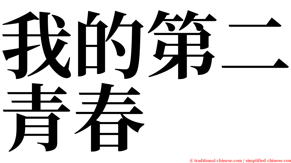 我的第二青春 serif font