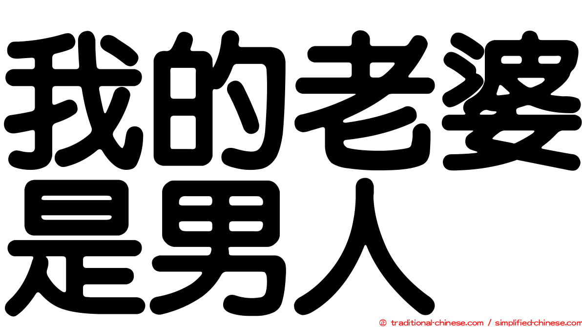 我的老婆是男人