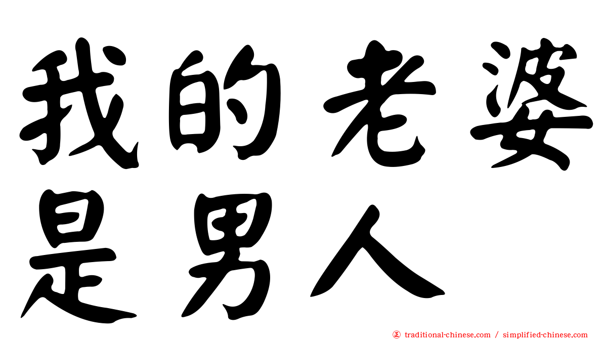 我的老婆是男人