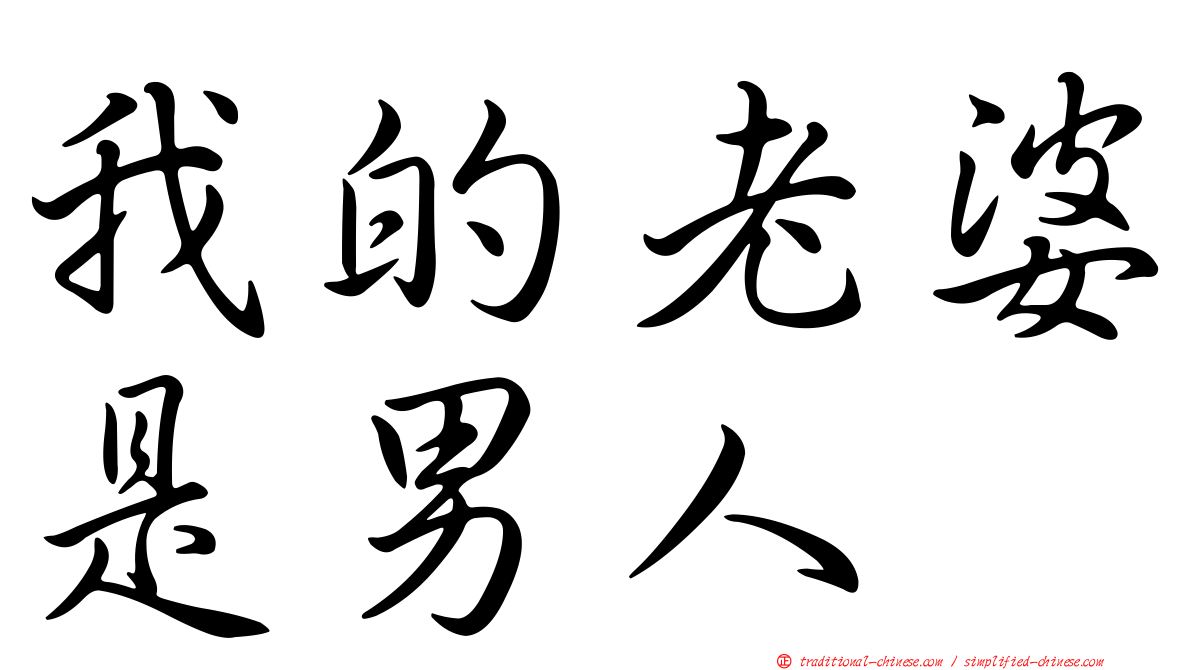 我的老婆是男人