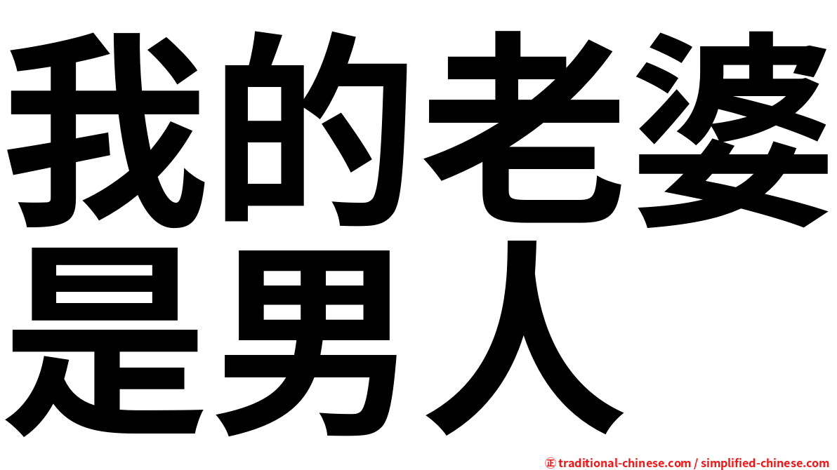 我的老婆是男人