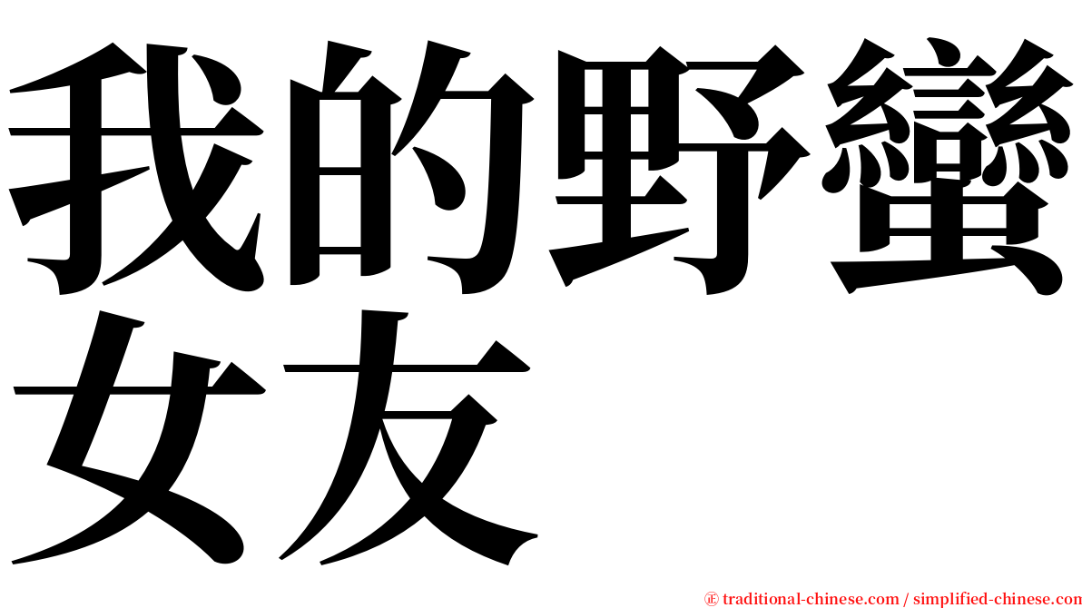 我的野蠻女友 serif font