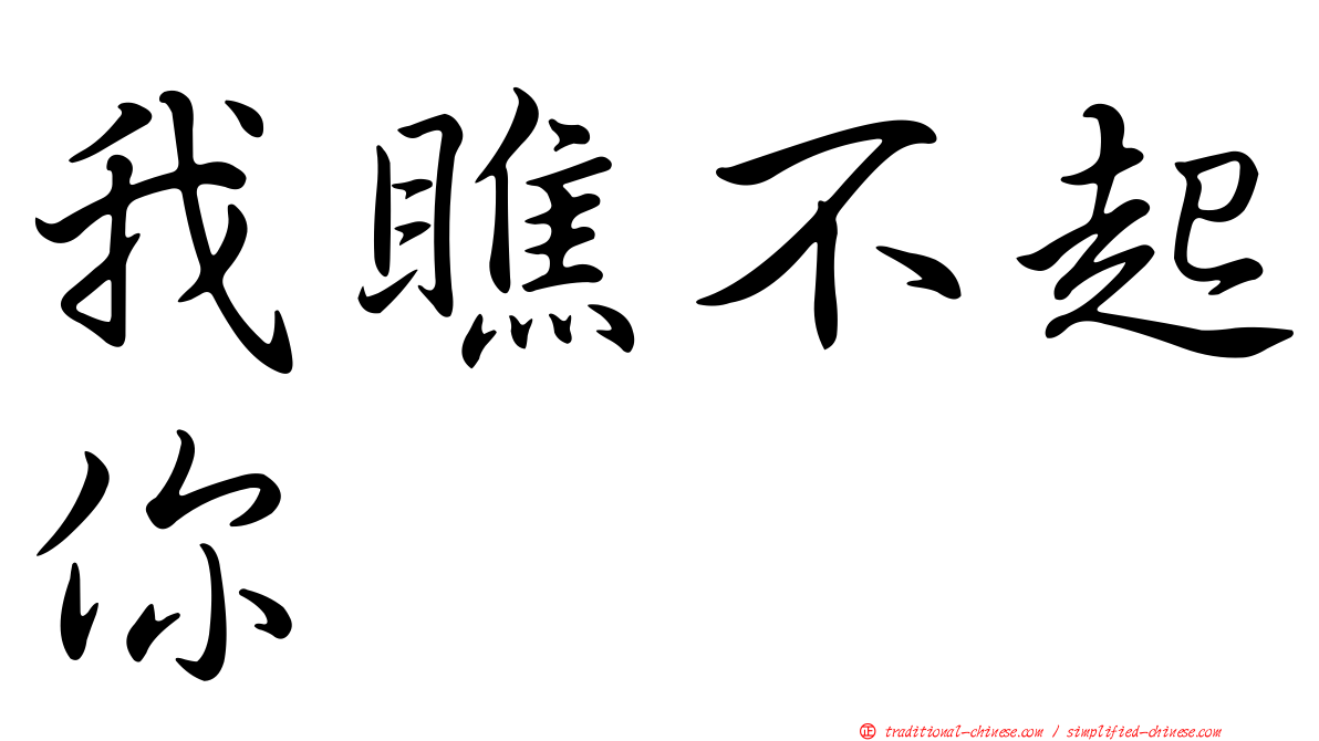 我瞧不起你