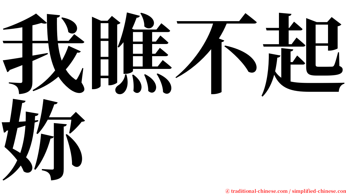我瞧不起妳 serif font