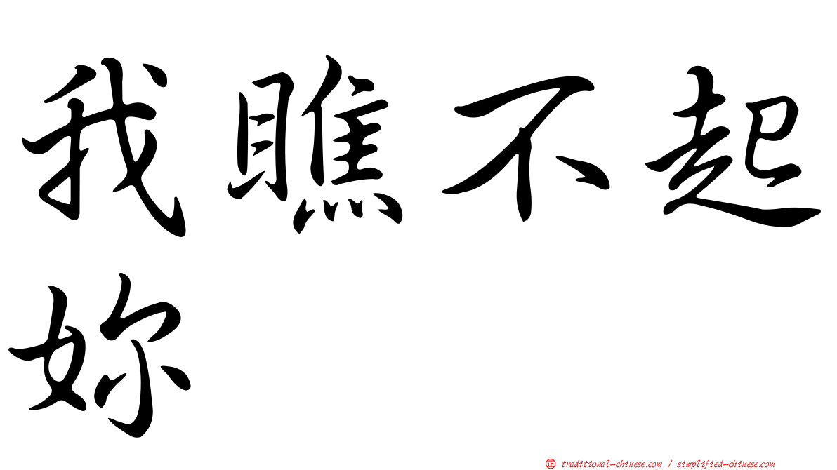 我瞧不起妳