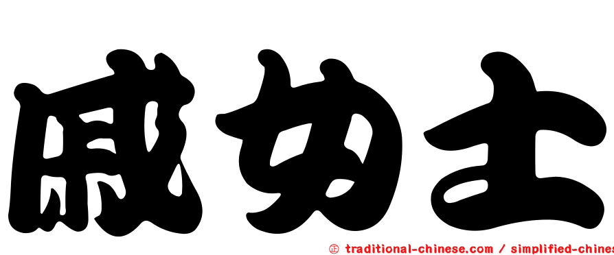 戚女士