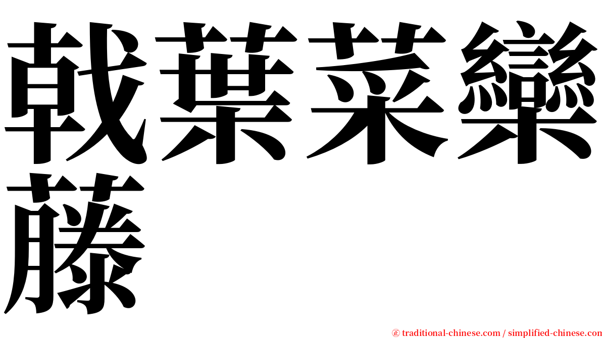 戟葉菜欒藤 serif font