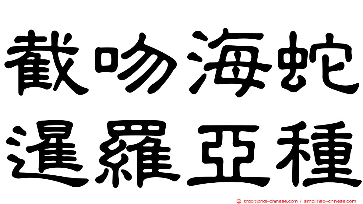 截吻海蛇暹羅亞種
