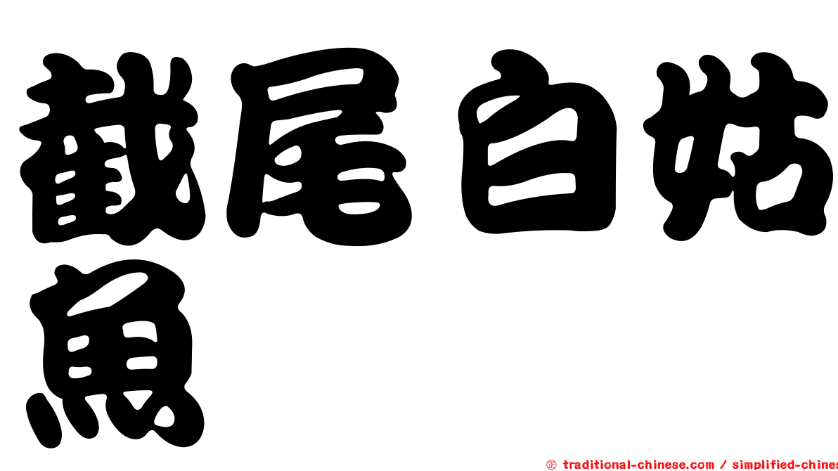 截尾白姑魚