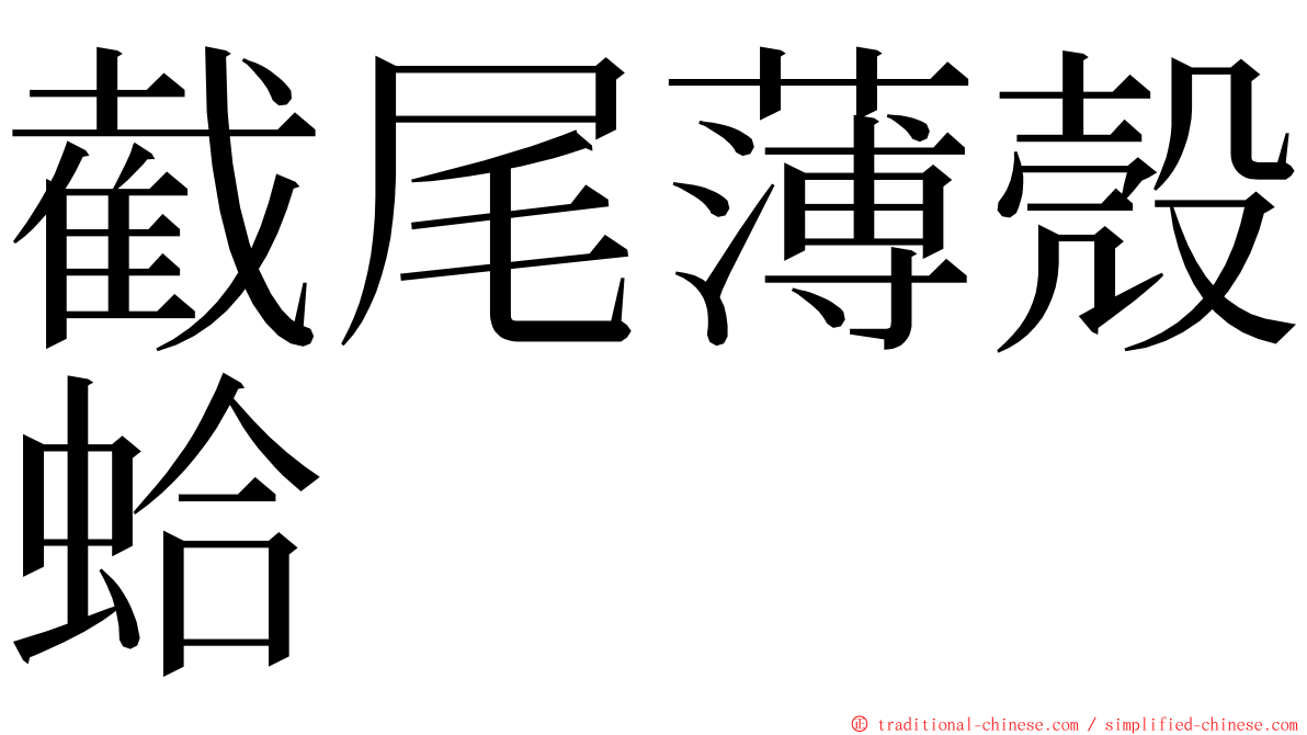 截尾薄殼蛤 ming font