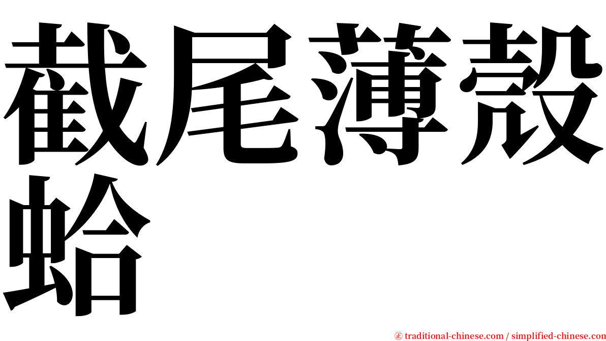 截尾薄殼蛤 serif font